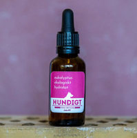Hundigt Nosework hydrolaatti eukalyptus, 30 ml