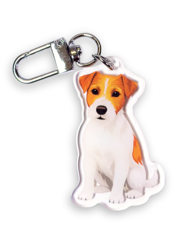 Rotuavaimenperä, karkeakarvainen jackrussellinterrieri