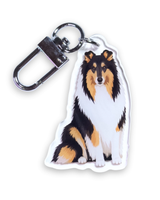 Rotuavaimenperä, pitkäkarvainen collie (tricolor)