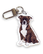 Rotuavaimenperä, staffordshirenbullterrieri (brindle)