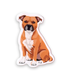 Rotumagneetti, staffordshirenbullterrieri (punainen)