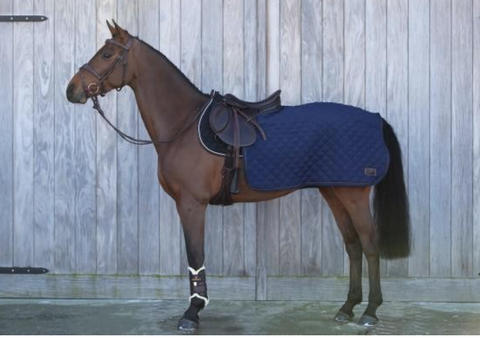 Kentucky Quarter rug ratsastusloimi tummansininen