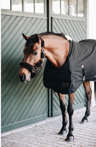 Kentucky BIB summer, musta