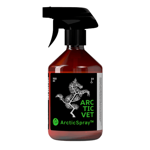 ArcticSpray- suihke 500ml