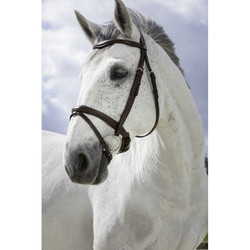 Norton Pro Combinee suitset, ruskea