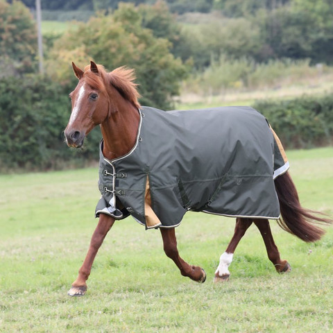 Shires Highlander Plus 50g ulkoloimi, vihreä