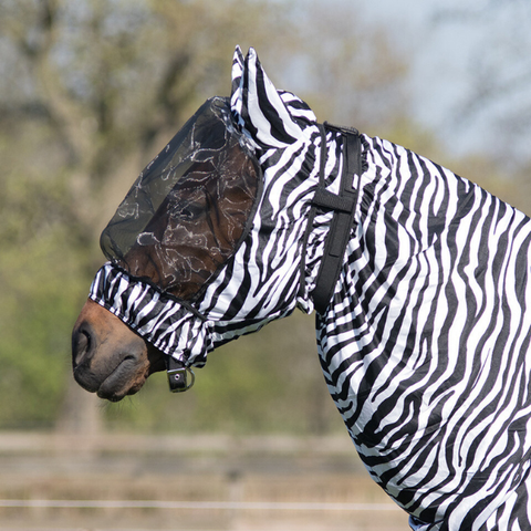 Qhp Eczema huppu, zebra