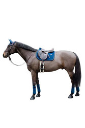 Kentucky Basic velvet estesatulahuopa, navy