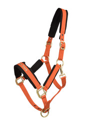 Back On Track Werano riimu, oranssi