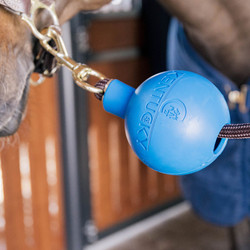 Kentucky Rubber ball protection wall & lead