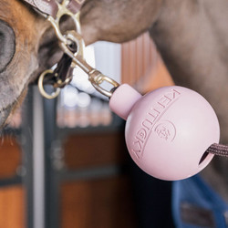 Kentucky Rubber ball protection wall & lead