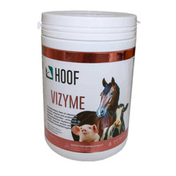 Hoof Vizyme 1kg