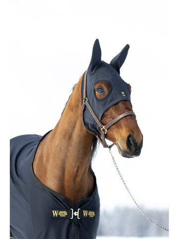 Wahlsten Healing titanium päähuppu korvilla