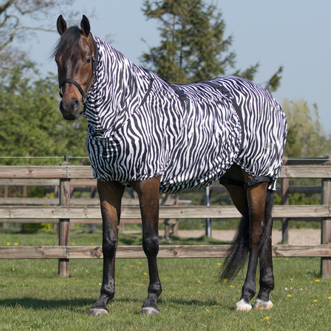 Qhp Eczema ihottumaloimi, zebra