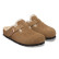Boston Shear 1032440 (dark tea)