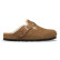 Boston Shear 1032440 (dark tea)