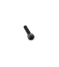R805304 3x12mm Cap Screw (10)
