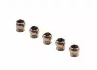Roche Rapide P12 Evo Alum. 5mm Pivot Ball, Reinforced (5) 310177