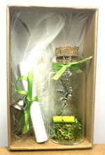 Parantumisen Keiju lasipullossa	