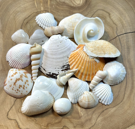 Simpukka pussi 2, 156g	