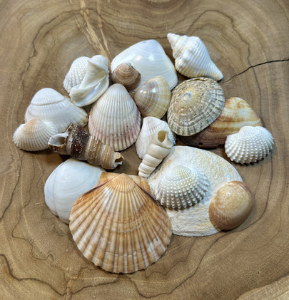 Simpukka pussi 4, 117g	