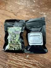 Suklaaminttu Mentha ”Chocolade”