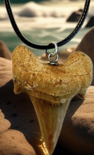 Hainhammas kaulakoru	