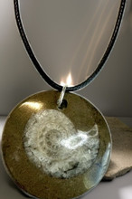 Fossiiliriipus Ammoniitti	