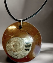 Fossiiliriipus Ammoniitti	