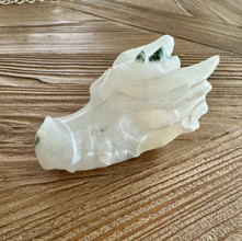 Sammalakaattinen lohikäärmeen pää	