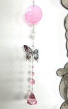 Aurinkosieppari perhonen	