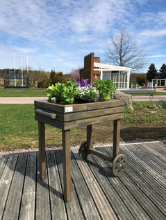 Suvi-kasvatuspöytä