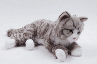 Norjalainen metsäkissa