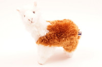 Laama