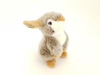 Ruskeakorvainen istuva pupu