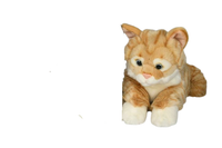 Upea oranssiraitainen kissa