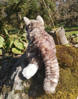 Upea harmaaraitainen kissa