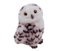 Pikkuinen tunturipöllö