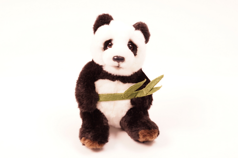 Istuva pienempi panda