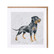 Wrendale rottweiler kortti
