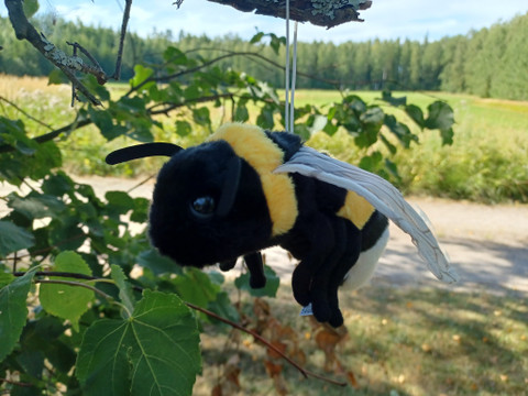 Kimalainen pehmoeläin