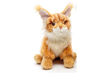 Oranssi Maine Coon kissapehmo