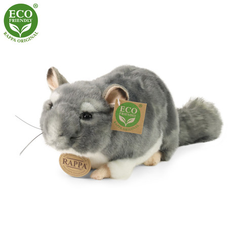 Chincilla tassuillaan