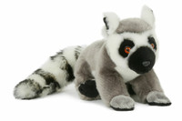 Lemur eli rengashäntämaki 