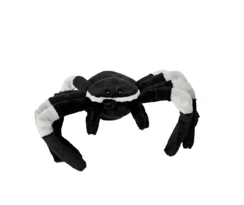Mustaraitainen hämähäkki