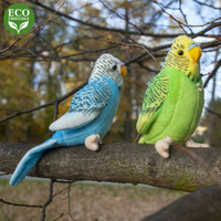 Laulava vihreä undulaatti