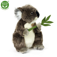 Isompi koala 30 cm