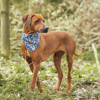 Wrendale koiran bandanahuivi isompi