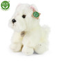 Isompi westie pehmo