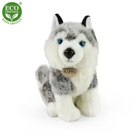 Huskyn pentu 30 cm